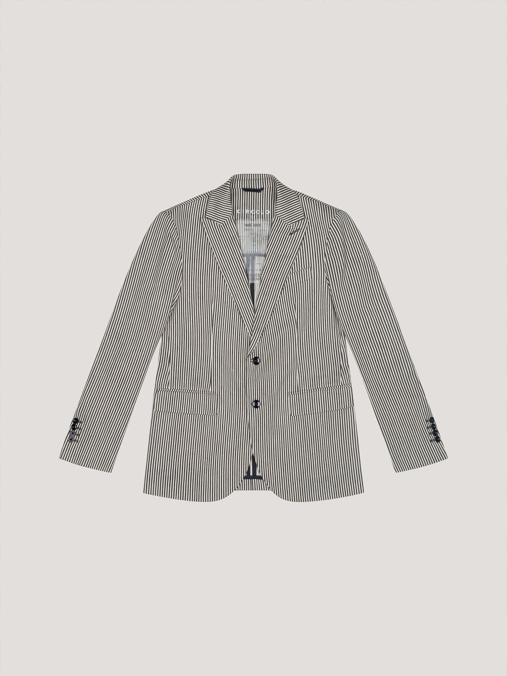 Thin Striped blazer