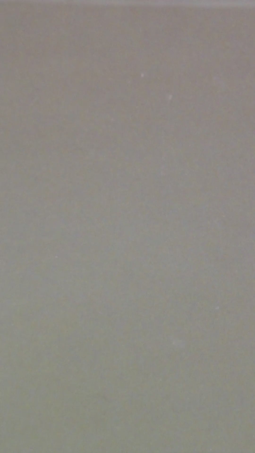 Video gallery FD3976 order 4