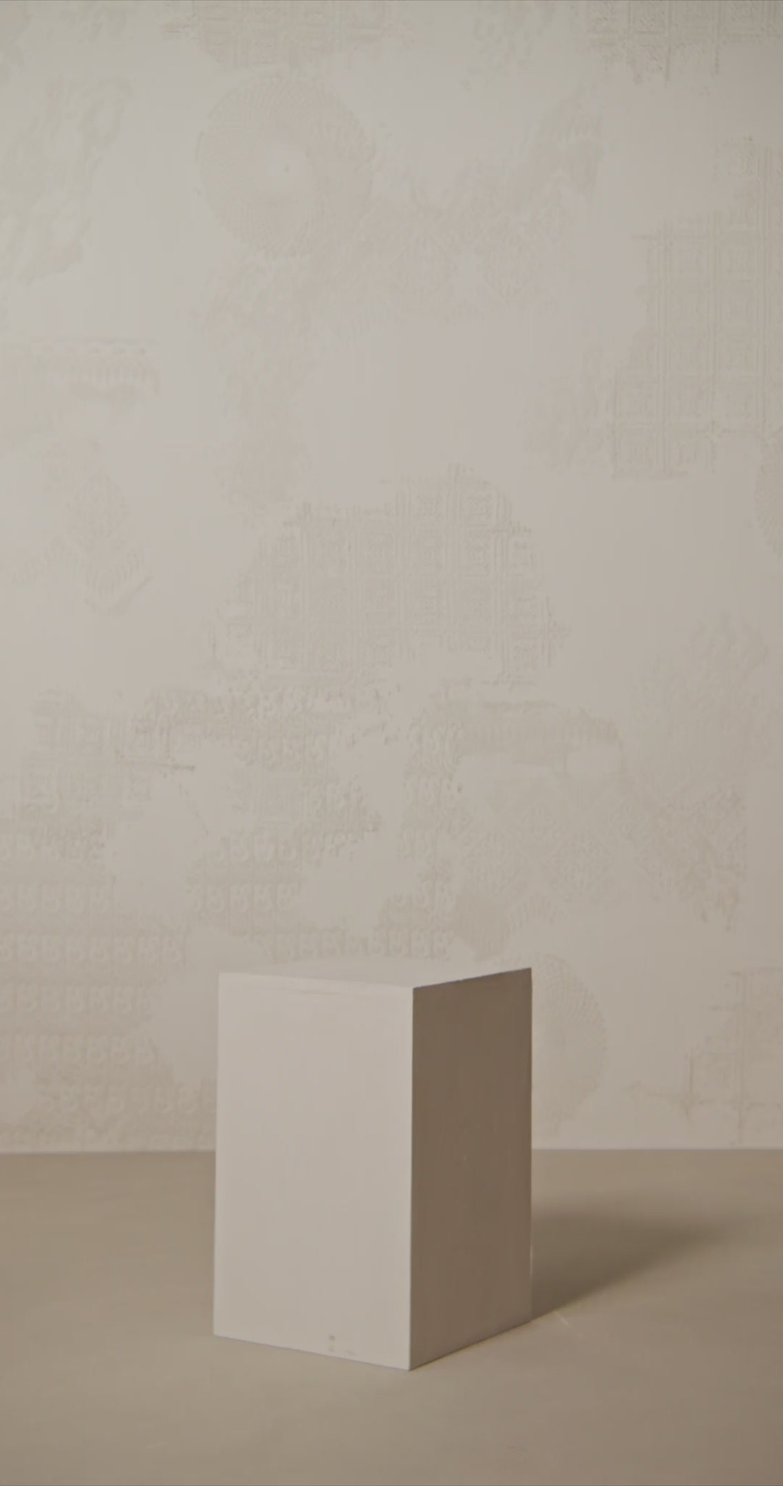 Video gallery CN5209 order 3