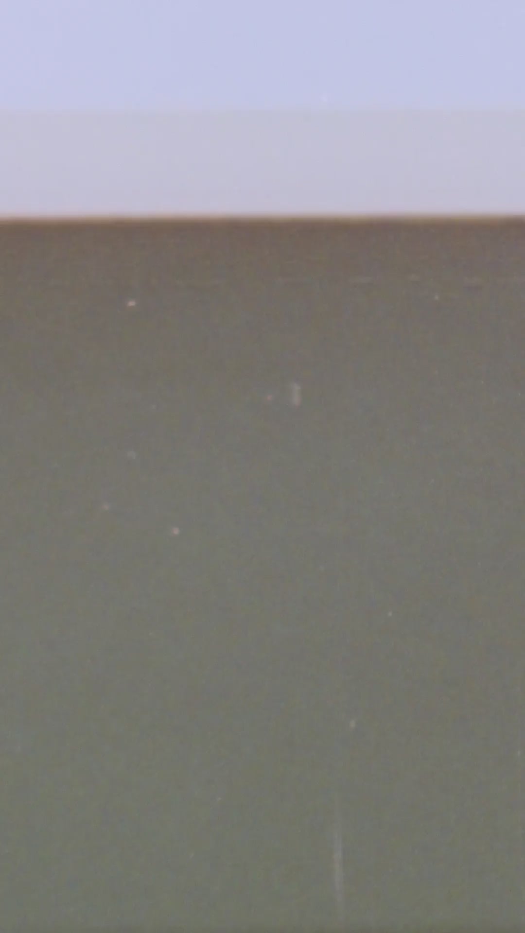 Video gallery FD3809 order 4